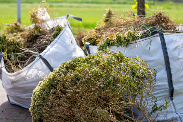 Best Shed Removal  in Victoria, KS